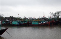 Phát triển bền vững biển, đảo Việt Nam: Liên kết vượt khó bám biển 